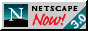 download netscape here