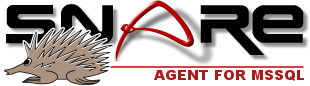 Snare for MSSQL
